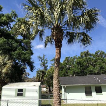 Ax Men Tree Service - Tree Services Near Me Ax Men Tree Service - Tree Services Near Me