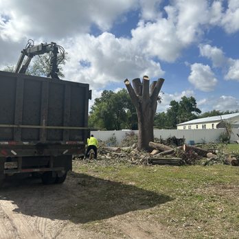 Kirbys Tree Service - Tree Services Near Me - Zellwood, Florida Kirbys Tree Service - Tree Services Near Me - Zellwood, Florida