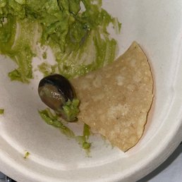 Found a whole avocado pit in my food. Found a whole avocado pit in my food.