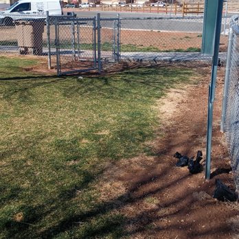Visitor Center Doggie Run - Plastic bag full of poop drop area so as to save steps to trash can? - Dog Parks Near Me - Richfield, Utah Visitor Center Doggie Run - Plastic bag full of poop drop area so as to save steps to trash can? - Dog Parks Near Me - Richfield, Utah