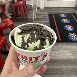 Mint Chocolate Chip
