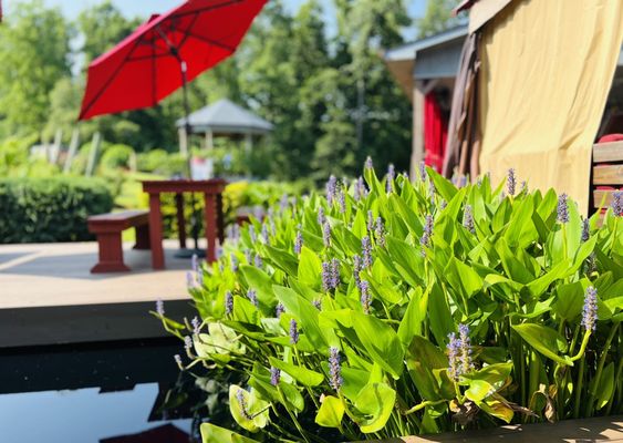 JOLO Winery and Vineyards with End Posts Restaurant by null