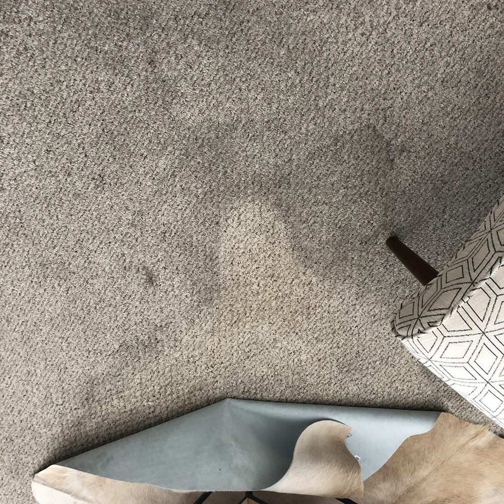 Oscar's Carpet Cleaning - The contrast when the rug was lifted. - Carpet Cleaning Near Me Oscar's Carpet Cleaning - The contrast when the rug was lifted. - Carpet Cleaning Near Me