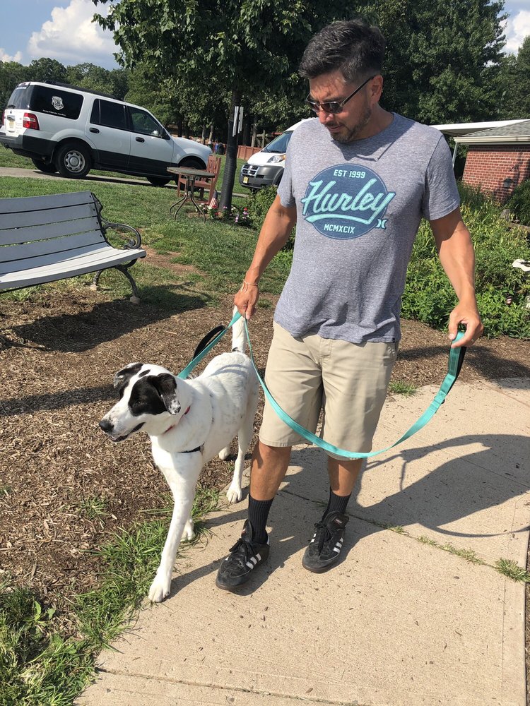 SOMERSET REGIONAL ANIMAL SHELTER 16 Photos & 10 Reviews 100 Commons