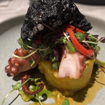 Spring Café Brasserie - octopus (22€) - Brasseries Near Me - Amsterdam, New Hampshire