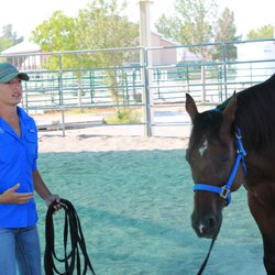 Leadership and Communication Breakthroughs Led with Horses