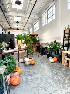 Broc Cellars by null
