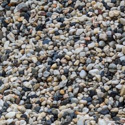 Tahoe Sand & Gravel - SALT & PEPPER IN 3/4 AND 3/8