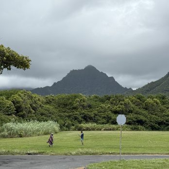 Tours Around Paradise - Tours Near Me - Honolulu, Hawaii Tours Around Paradise - Tours Near Me - Honolulu, Hawaii