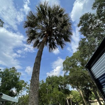 Bill Frederick Park at Turkey Lake - Park Aesthetics - Parks Near Me - Orlando, Florida