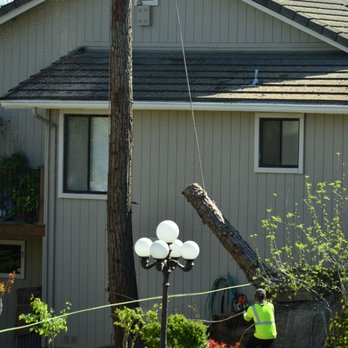 Bruce's Tree Service - Tree Services Near Me