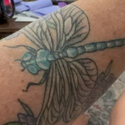 Jack & Diane's Tattoo - Dragonfly done by Scotty a month ago