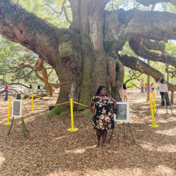 Angel Oak - Parks Near Me - Johns Island, South Carolina