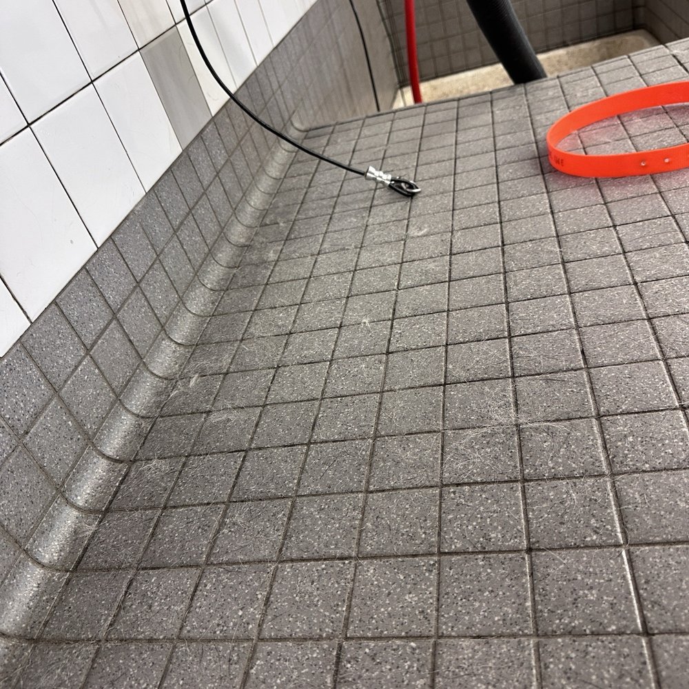 Pet Food Express - Station to the right of me covered in hair. Collar...hoses in disarray. - Pet Stores Near Me - Concord, California Pet Food Express - Station to the right of me covered in hair. Collar...hoses in disarray. - Pet Stores Near Me - Concord, California