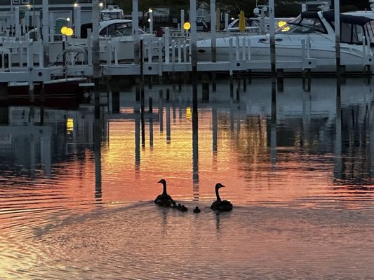 The Harbor Grand Hotel by null