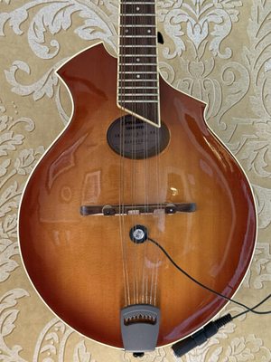 The Pink House by null