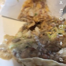 Veggie Burrito