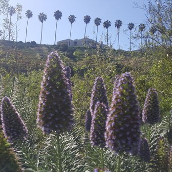 Bluff Trail Park - Parks Near Me - Playa del Rey, California Bluff Trail Park - Parks Near Me - Playa del Rey, California
