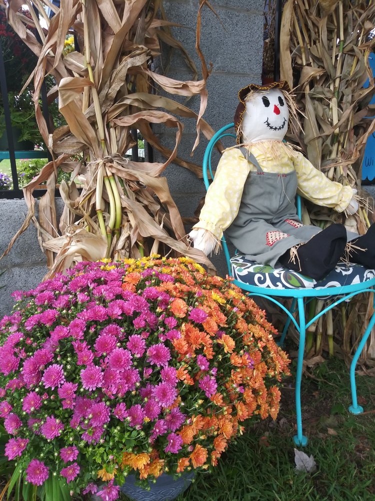 SOFÍA’S FLOWER SHOP IN MENDON Updated September 2024 15 Photos 7