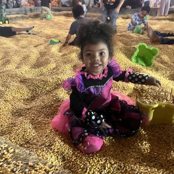 Frosty's Forest Pumpkin Patch - She loves this play area! - Attraction Farms Near Me - Chino, California Frosty's Forest Pumpkin Patch - She loves this play area! - Attraction Farms Near Me - Chino, California