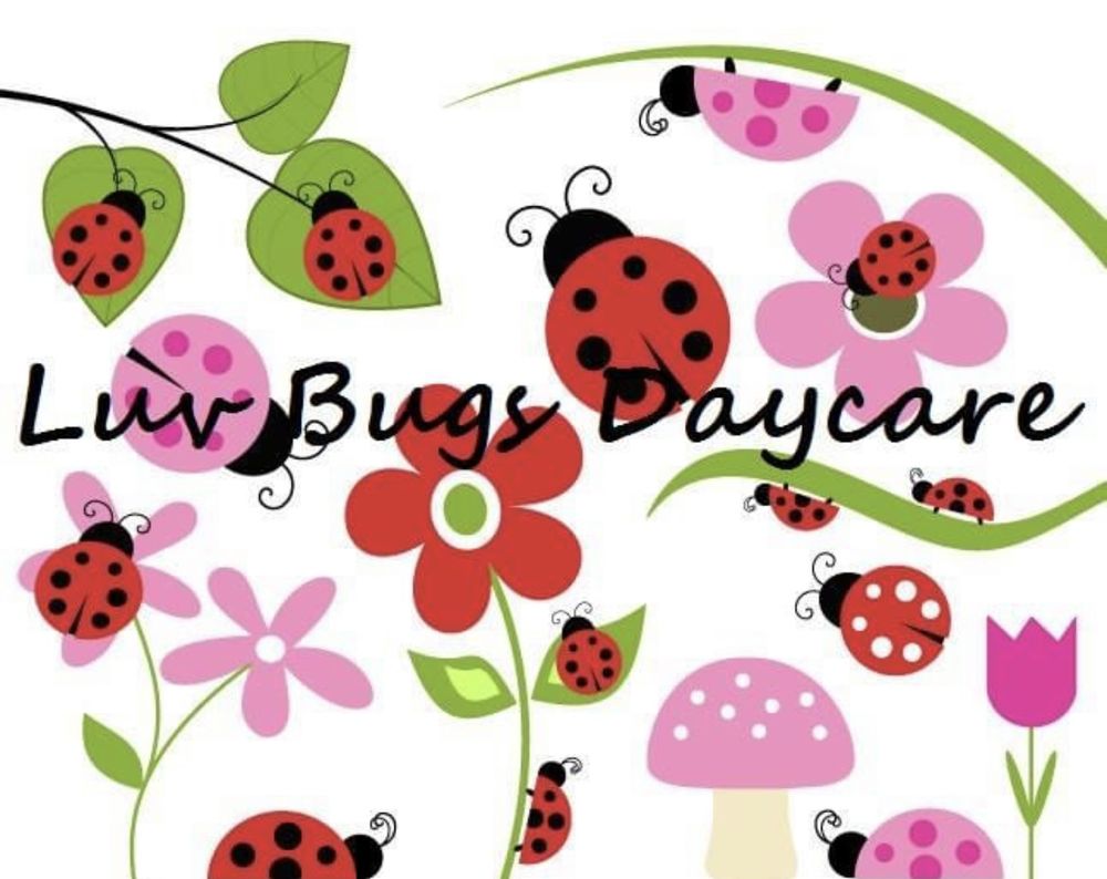 Luv Bugs Daycare - childcare center in Fair Oaks Ranch, TX