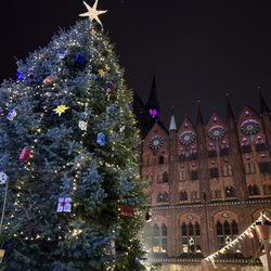 Weihnachtsmarkt - Weihnachtsmarkt auf dem Alten Markt Stralsund