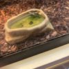 Upscales-Fish & Reptiles gift card