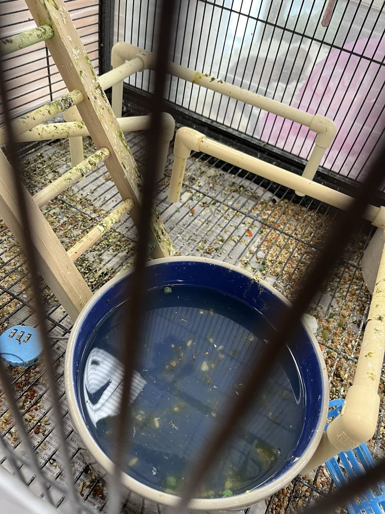Pet Supermarket Image
