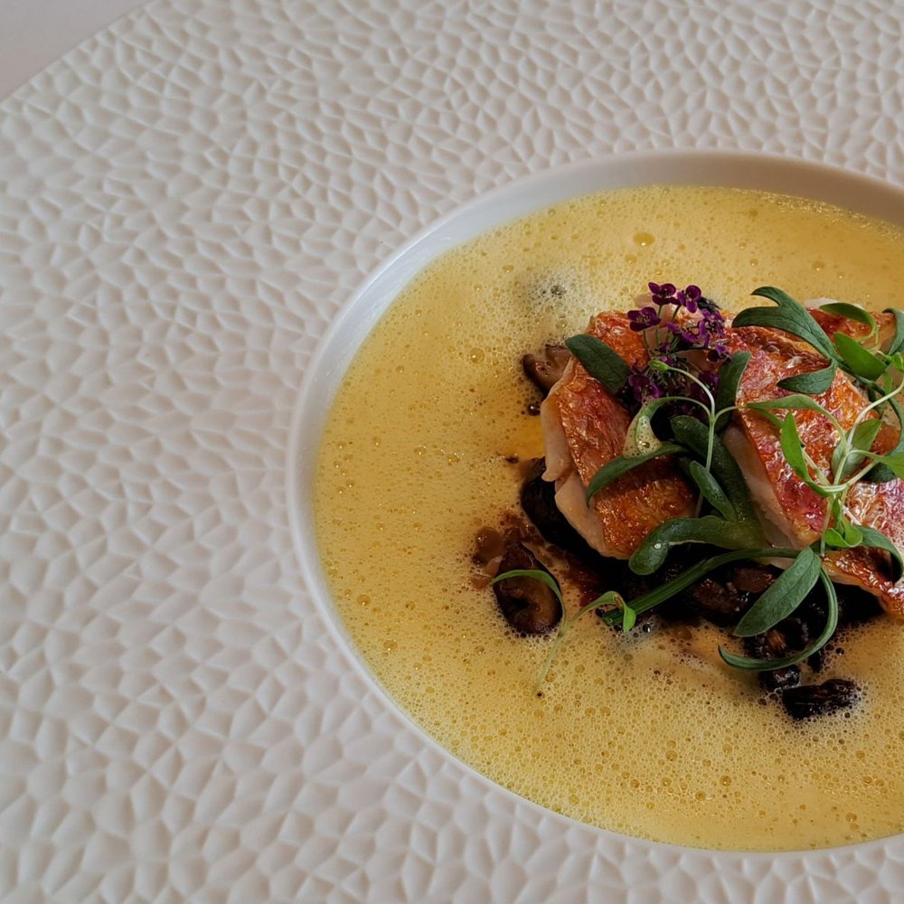 Da Mimmo - Rouget, champignons, écume de sambuca au safran, fregola. / Red mullet, mushrooms, saffron sambuca foam, fregola pasta.2023 06 02. M1. - Italian Near Me - Woluwe-saint-lambert, BRU