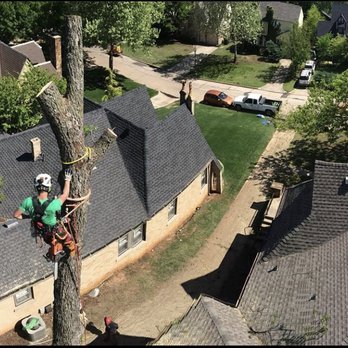 Full Circle Tree Service - Tree Services Near Me - Guthrie, Oklahoma