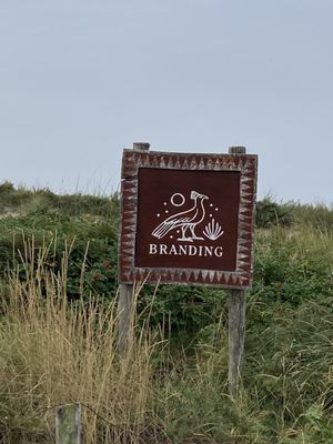 Branding Beach Club by null