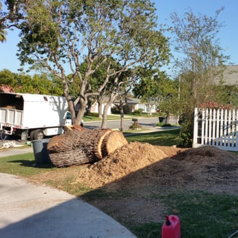VTS Tree Service - Tree Services Near Me VTS Tree Service - Tree Services Near Me