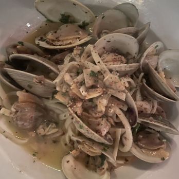Evo Italian - Linguini Linguine Vongole - Italian Near Me - Tequesta, Florida