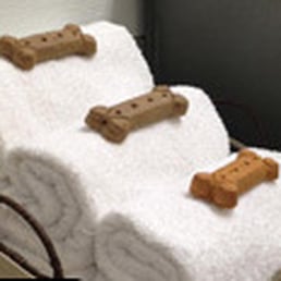 Self Wash Dog Spa Self Wash Dog Spa
