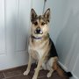 Photo of Uinta Veterinary Services