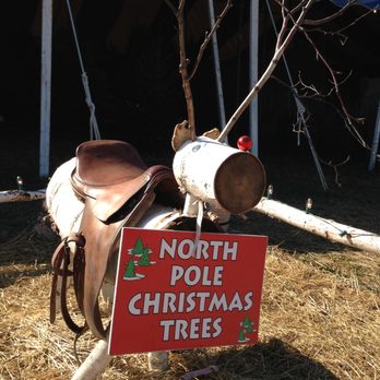 North Pole Christmas Trees - Fun for the whole Family! - Christmas Trees Near Me - North Palm Beach, Florida North Pole Christmas Trees - Fun for the whole Family! - Christmas Trees Near Me - North Palm Beach, Florida