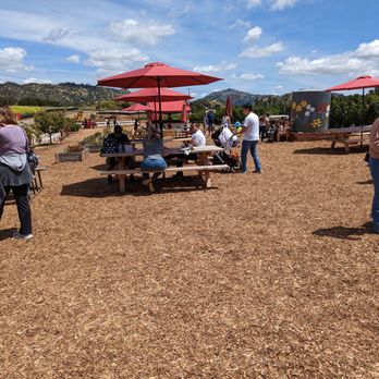 Kenny's Strawberry Farm - Half of the picnic area - Fruits & Veggies Near Me - Fallbrook, California