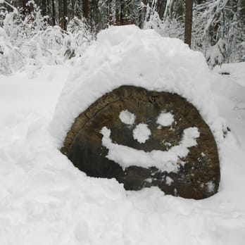 Calaveras Big Trees State Park - 12-28-2012 Smile! - Parks Near Me - Arnold, California Calaveras Big Trees State Park - 12-28-2012 Smile! - Parks Near Me - Arnold, California