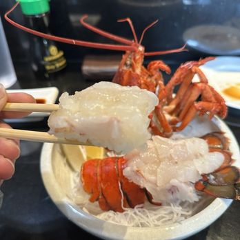 O Sushi - Lobster - Japanese Near Me - Santa Rosa, California O Sushi - Lobster - Japanese Near Me - Santa Rosa, California