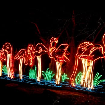 Denver Zoo Lights - Festivals Near Me - Denver, Colorado