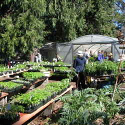 Love Apple Farms - Happy customers grabbing tomatoes.
