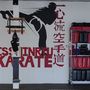 Photo of Belleville Martial Arts Institute