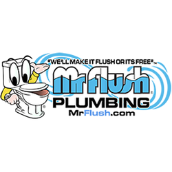 Mr. Flush