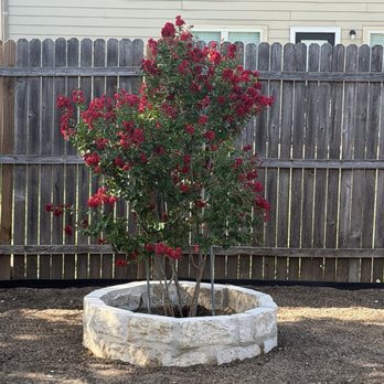 Benitez Irrigation & Landscape - Landscaping Near Me - Helotes, Texas