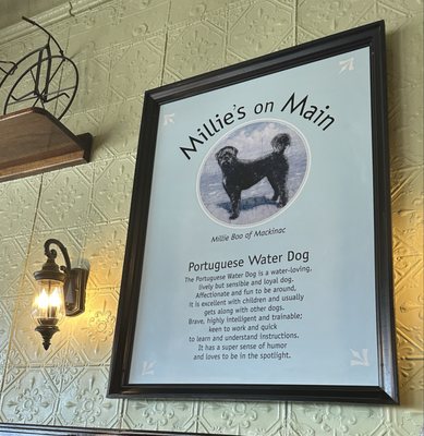 Millie's on Main by null