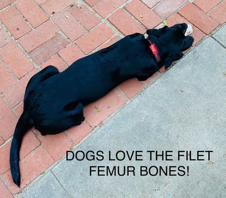 Sepulveda Meats and Provisions by null