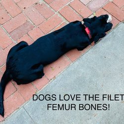 Dogs love their bones!