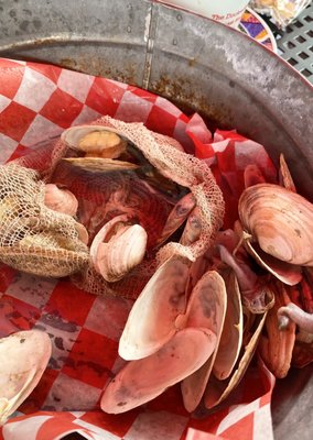 The Docksider by null