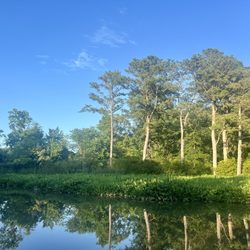 College Landing Park
