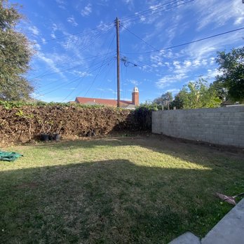 Joel Espinoza Landscape - beautifying by joel - Tree Services Near Me